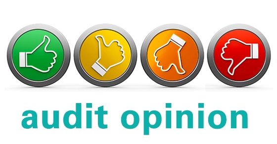 audit opinions