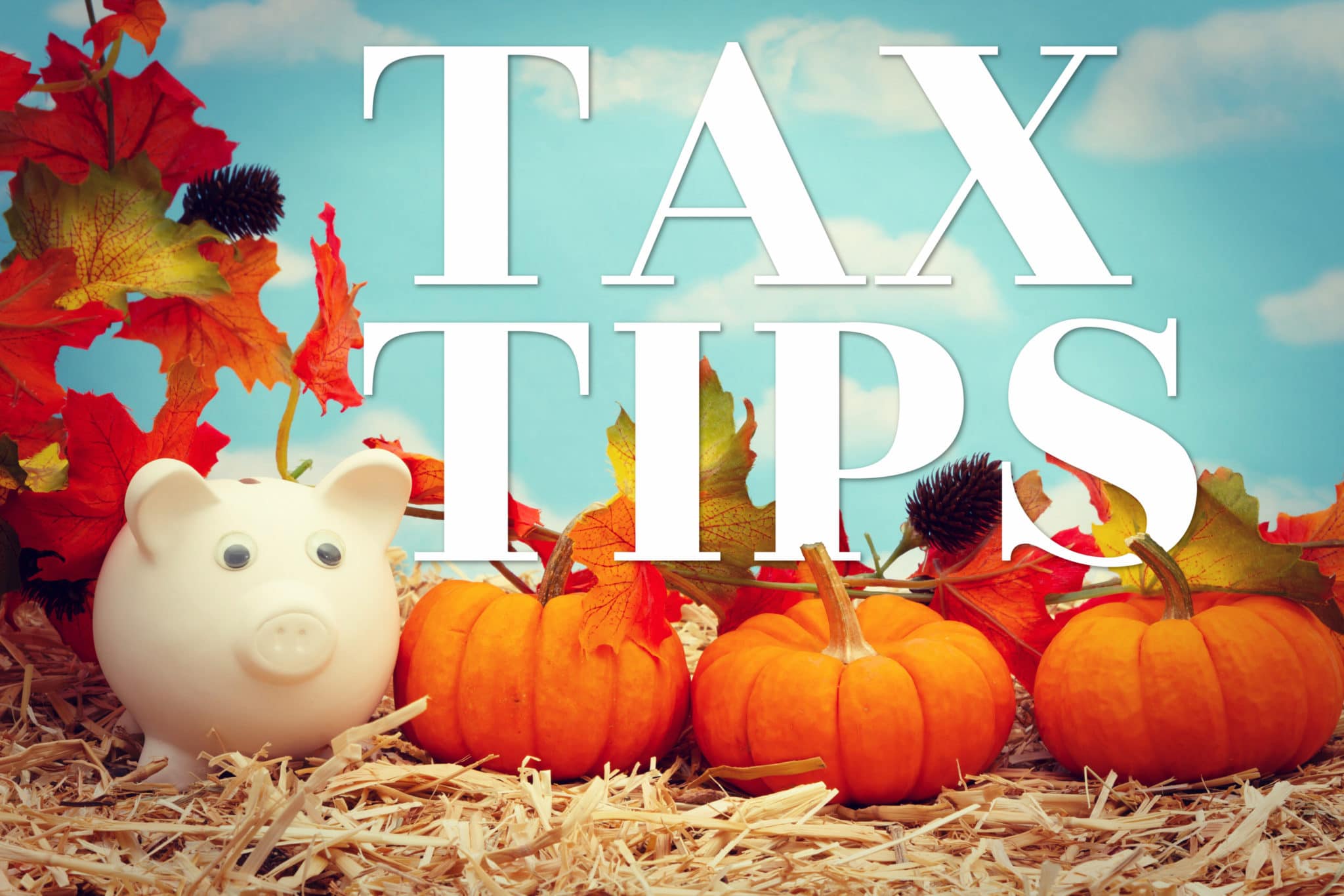 September/October 2020 Tax Tips