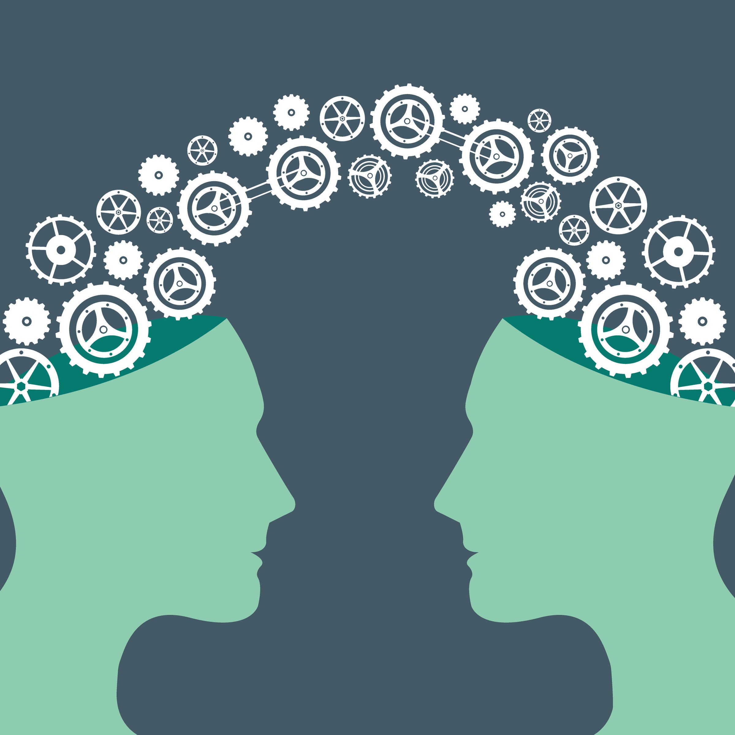 Vector image of knowledge sharing between two people heads