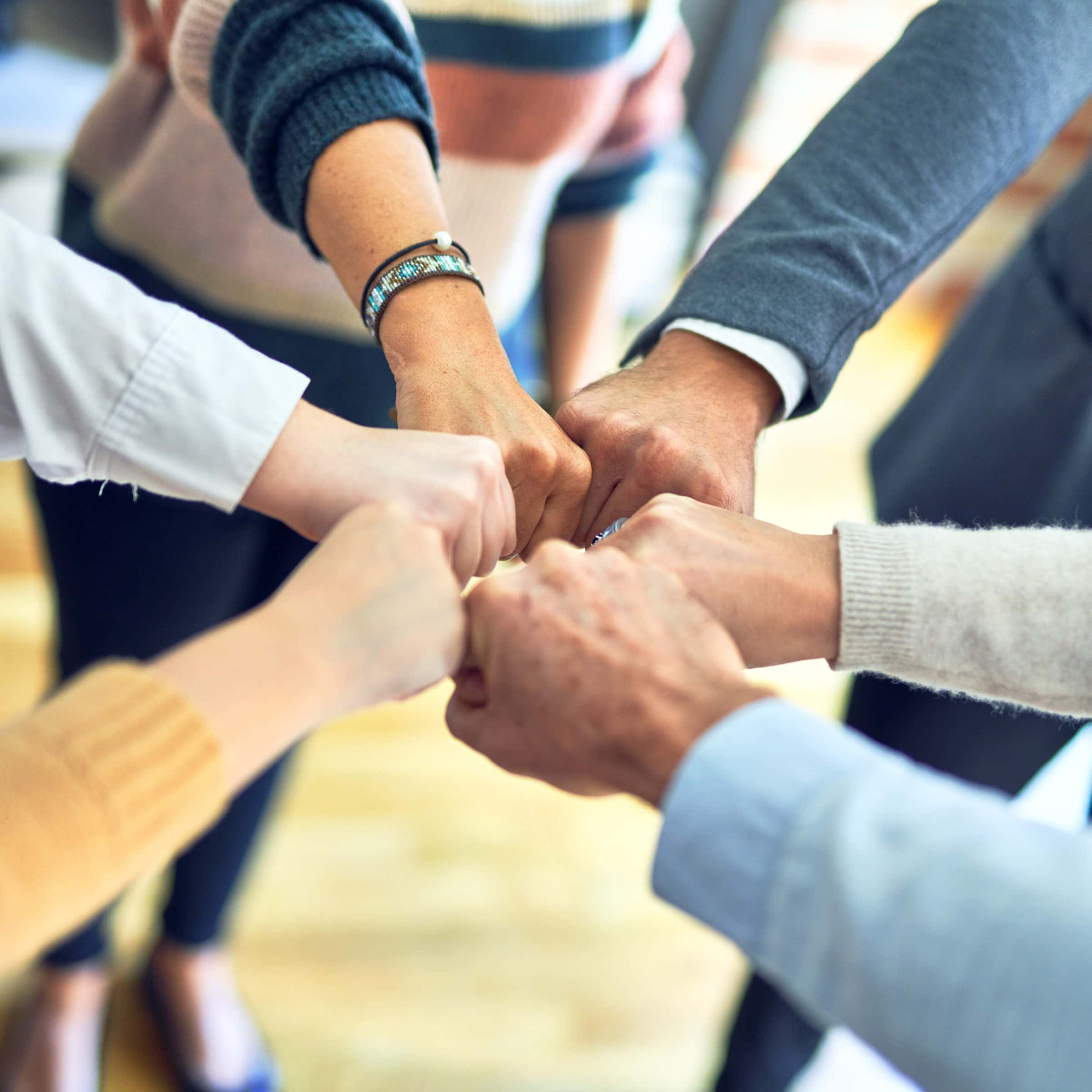 Team of individuals with their fists together showing teamwork