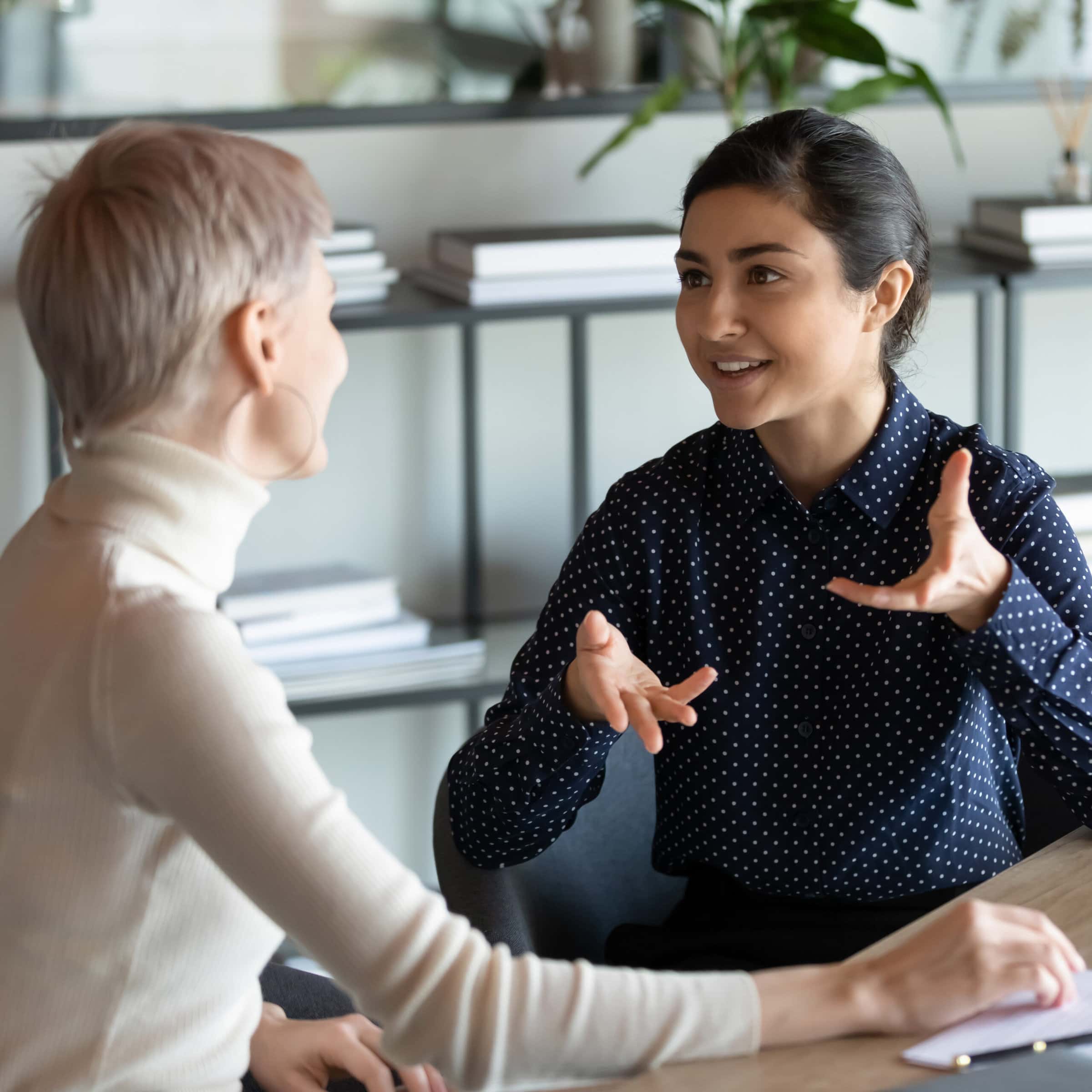 young business woman talking to her client