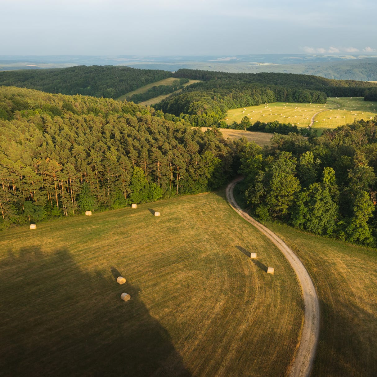 AdobeStock_443389941 (1)