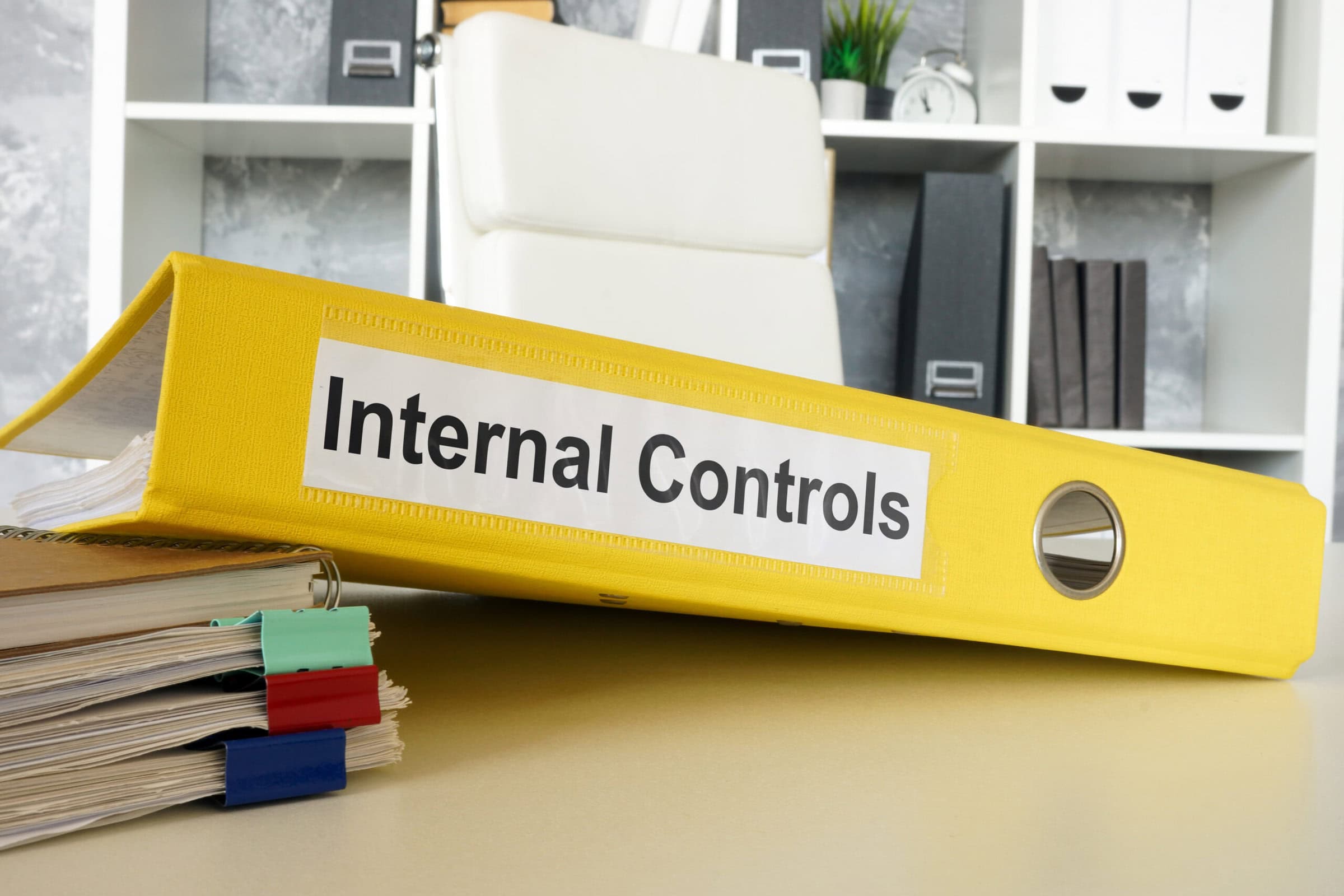 Documents and folder about internal controls, or organizational governance.
